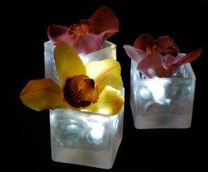 Lighted Orchid Centerpieces
